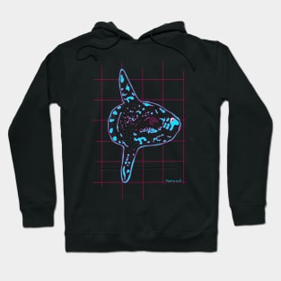 Blue Mola mola Hoodie